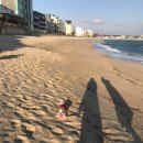 고성군 10 | 고향사랑기부제｜고성군에 기부한 이유 &amp; 답례품 10kg 쌀 후기 (+연말 이벤트)