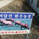 노을한우농장 이미지