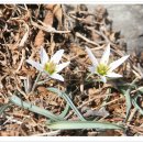 완도보길중학교 이미지