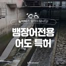 어도 이미지