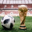 라임태권도장 이미지