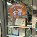 녹십자동물병원 | 평택 강아지 심장사상충 넥스가드 365녹십자약국