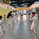 용인대튼튼태권도 | 아이들 체력증진 활동적인 스포츠 태권도 홍천용인대블랙벨트태권도 후기
