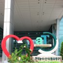 윤숙자축사 | [건강한食원정대 5기]양재 aT센터: 무형문화 유산으로서의 '장 담그기 문화' 공청회 참가!