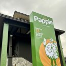 햇살나무한의원 | 후아힌 파인애플CC 3번째 라운딩 후기 | Pineapple Valley Golf Club Hua Hin 솔직후기