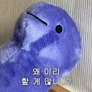 모어샌드위치