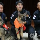 비룡축산 이미지