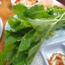 김해수 농장 이미지