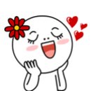 밀양얼음골김치 이미지