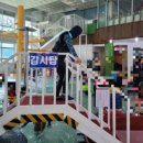 로만바스 | 용인 로만바스워터파크 이용후기 (내년에 또 와야지!)