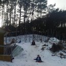 은행나무 펜션 이미지