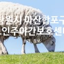 완월동271 이미지