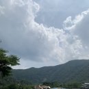 문경 오미자테마터널 이미지