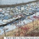 세개의 여유 이미지