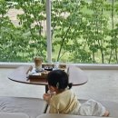 한우114농장2번 | 곁들인 15개월 육아일기 Chapter 3 ; 설악산로한우, 녹원갈비, 숲속의빈터, 라몬타냐, 대관령아기동물농장