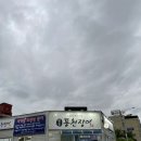 원통풍천민물장어 이미지