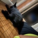 다사랑헤어 이미지