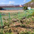 율이리농장 이미지