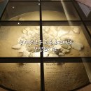 성주성산동고분군전시관 | 대구근교 성주 여름 실내 가볼만한곳 성주성산동고분군전시관 상설전시관