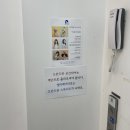 [효자동]춘천반려동물과 함께 찍는 사진관 추천, &#34;도란도란&#34;
