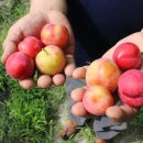 지리산하늘펜션 이미지