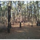 계양산공인중개사사무소 이미지