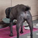 꼭찌 이미지