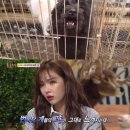 현아농장 이미지