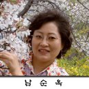 남순옥 Daum카페