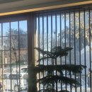 7138 | 염창 카페 비에이 내돈내산 한강 카페 염창동 분위기좋은 카페 추천 후기