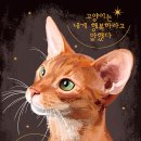 나만 없어 고양이 이미지