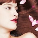 베네치아헤어 - 포항시 북구 칠성천길 119 | 베네치아헤어