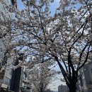 224-2-000137 | 잠실야구장 3루 레드석 224블럭 13열 좌석 예매 시야