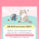 다솜고양이메디컬센터 이미지