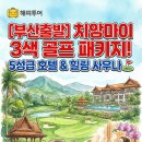 해피투어 (주)씨아이 네이버블로그