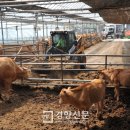 친환경우리소영농조합법인 이미지