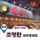 조명탄 파주동패점 이미지
