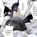 한계농장 이미지