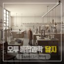 오투 이미지