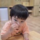 8월 12일 (수) 봉숭아 물들이기 + 8월 생일잔치 및 체육 활동 이미지