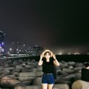 탑동랜드 이미지