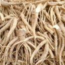 으뜸농장 2 이미지