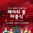 제야의 종 타종식 티스토리