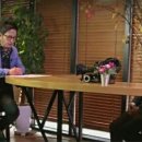 조은차 네이버블로그