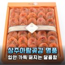 쇼핑아람 | 인생 곶감 발견! 상주아람곶감 선물세트 솔직 후기