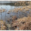 잔실 낚시터 이미지