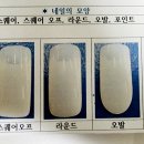 빽쌤뷰티교육연구소