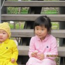 서율이네 이미지