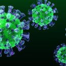 강서프라임병원 이미지