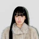 포켓피쉬 이미지